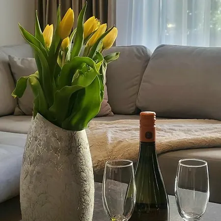 Apartment Lara's Brasov