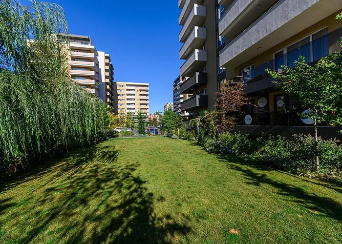 Lara's ブラショフ