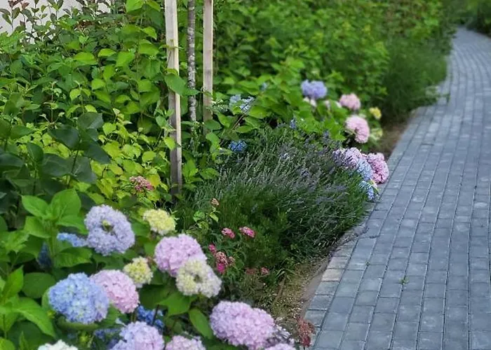 アパート Lara's *