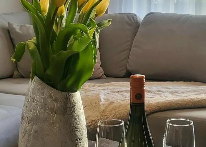 Apartment Lara's Brasov